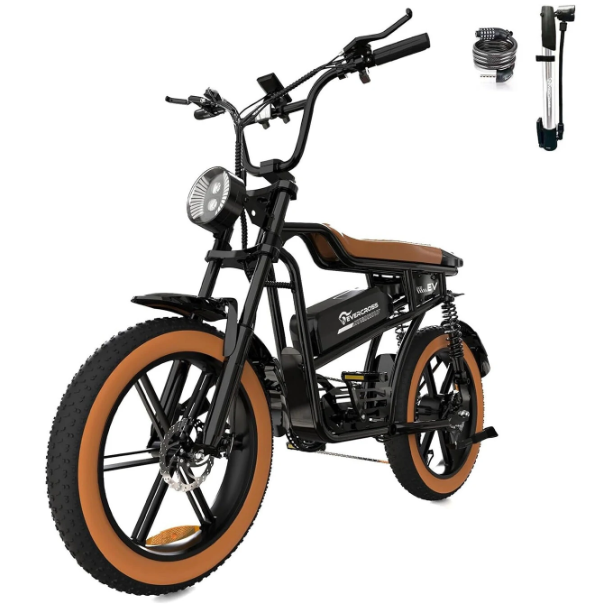 EK30 E-Bike Evercross BiLi SHOP